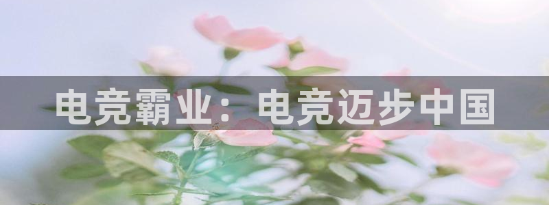 泛亚电竞平台代理理想论坛：电竞霸业：电竞迈步中国