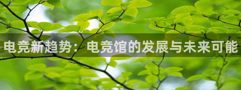 im电竞和泛亚电竞哪个好：电竞新趋势：电竞馆的发展与未来可能