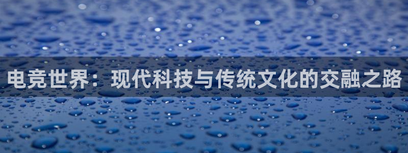 im电竞和泛亚电竞有什么区别：电竞世界：现代科技与传统文化的交融之路
