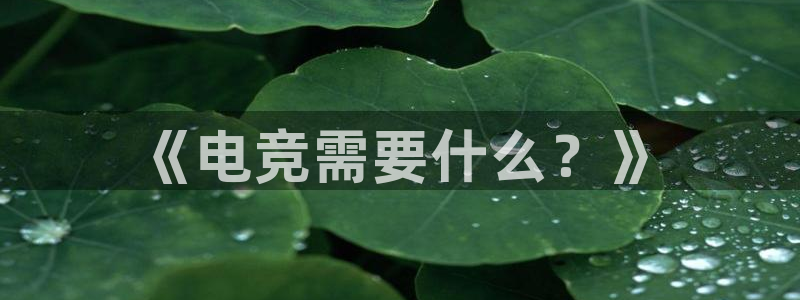 泛亚电竞首页app官方下载：《电竞需要什么？》