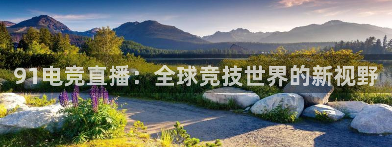 泛亚电竞综合APP：91电竞直播：全球竞技世界的新视野