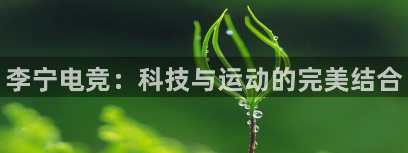 泛亚电竞邀98db in：李宁电竞：科技与运动的完美结合