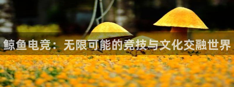 im电竞和泛亚电竞有什么区别：鲸鱼电竞：无限可能的竞技与文化交融世界