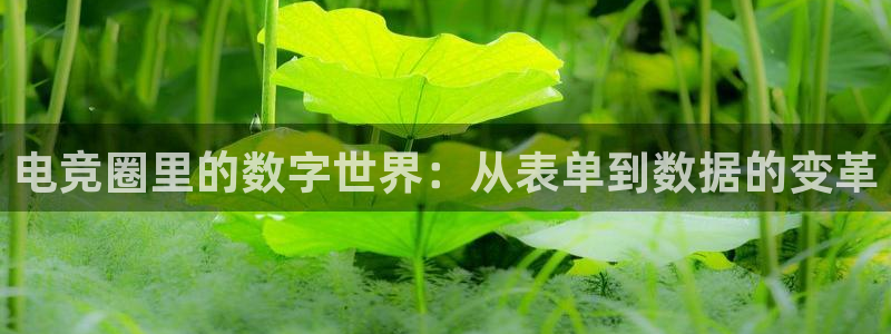 泛亚电竞综合：电竞圈里的数字世界：从表单到数据的变革